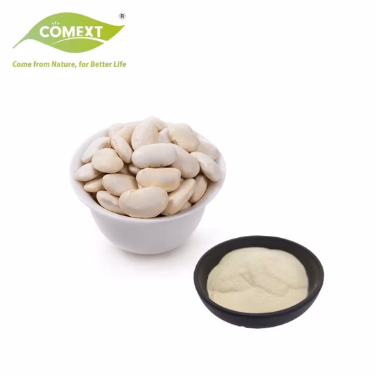 Suplemento de Feijão Branco Orgânico Puro e Natural Phaseolus Vulgaris Melhor Extrato de Feijão Branco