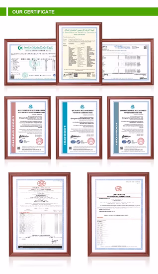 Suco de vegetais orgânicos 100% solúvel em água Apium Graveolens em pó instantâneo/suco de aipo em pó