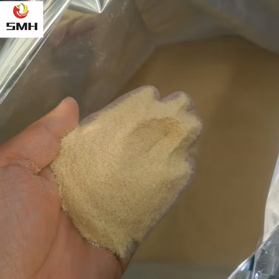 Tipos de grânulos de alho desidratado de tamanho de malha