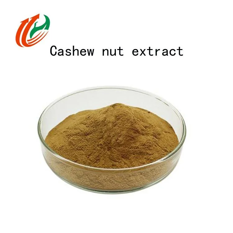 Natural Cashew Nut Extract Powder Effectively Improves Plant Protein