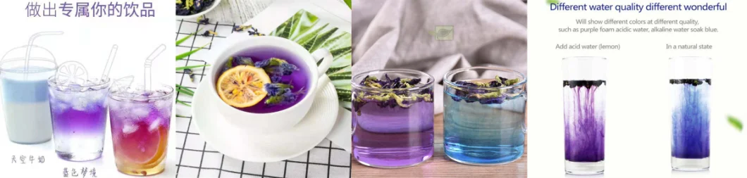 High Quality Organic Butterfly Pea Flower Powder and Butterfly Pea Tea