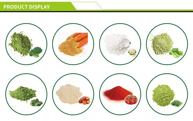 Vegetable Powder Manufacturer Wholesale Organic Tomato Powder with Best Price