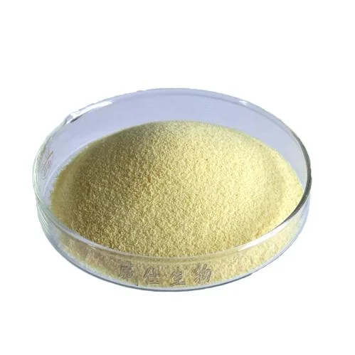 High Quality E440 Organic Pectin Powder Fruit Pectin