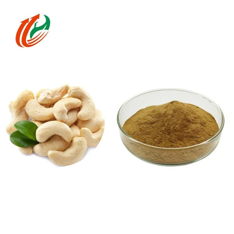 Natural Cashew Nut Extract Powder Effectively Improves Plant Protein