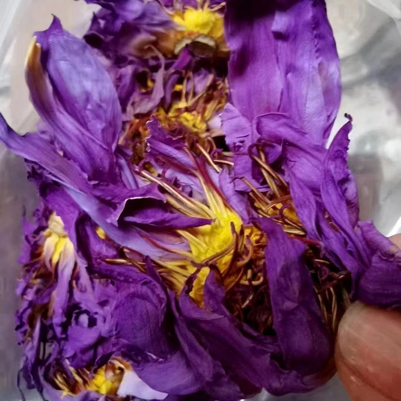 Die Dou hua Bulk Organic Herbal Tea dried blue butterfly pea flower tea