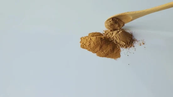 Extrato de planta de cogumelo juba de leão orgânico Hericium Erinaceus Reishi Cordyceps Militaris Cogumelo em pó de ervas