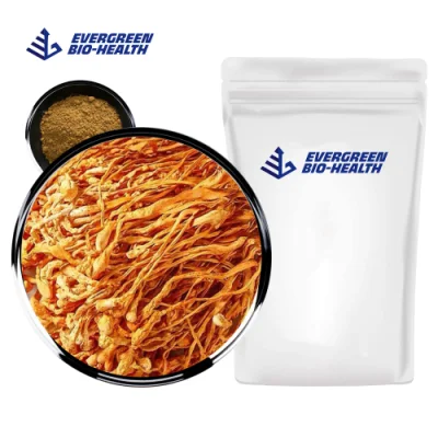 Extrato de ervas orgânico seco Cordyceps militaris