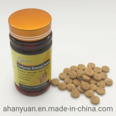 Cordyceps Sinensis Comprimidos Suplemento Alimentar Saudável